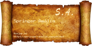 Springer Amália névjegykártya
